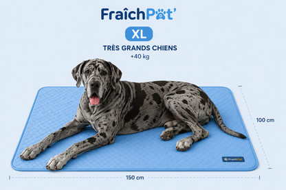 FraîchPat'™️ Confort Total — Tapis Rafraîchissants + Cadeaux Offerts