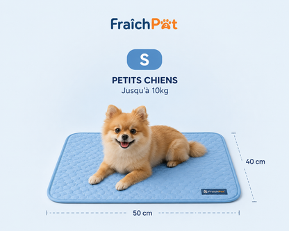 FraîchPat'™️ Confort Total — Tapis Rafraîchissants + Cadeaux Offerts