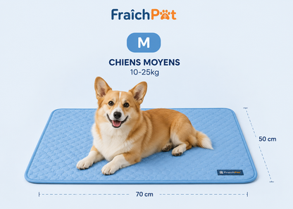 FraîchPat'™️ Confort Total — Tapis Rafraîchissants + Cadeaux Offerts