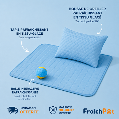 FraîchPat'™️ Confort Total — Tapis Rafraîchissants + Cadeaux Offerts