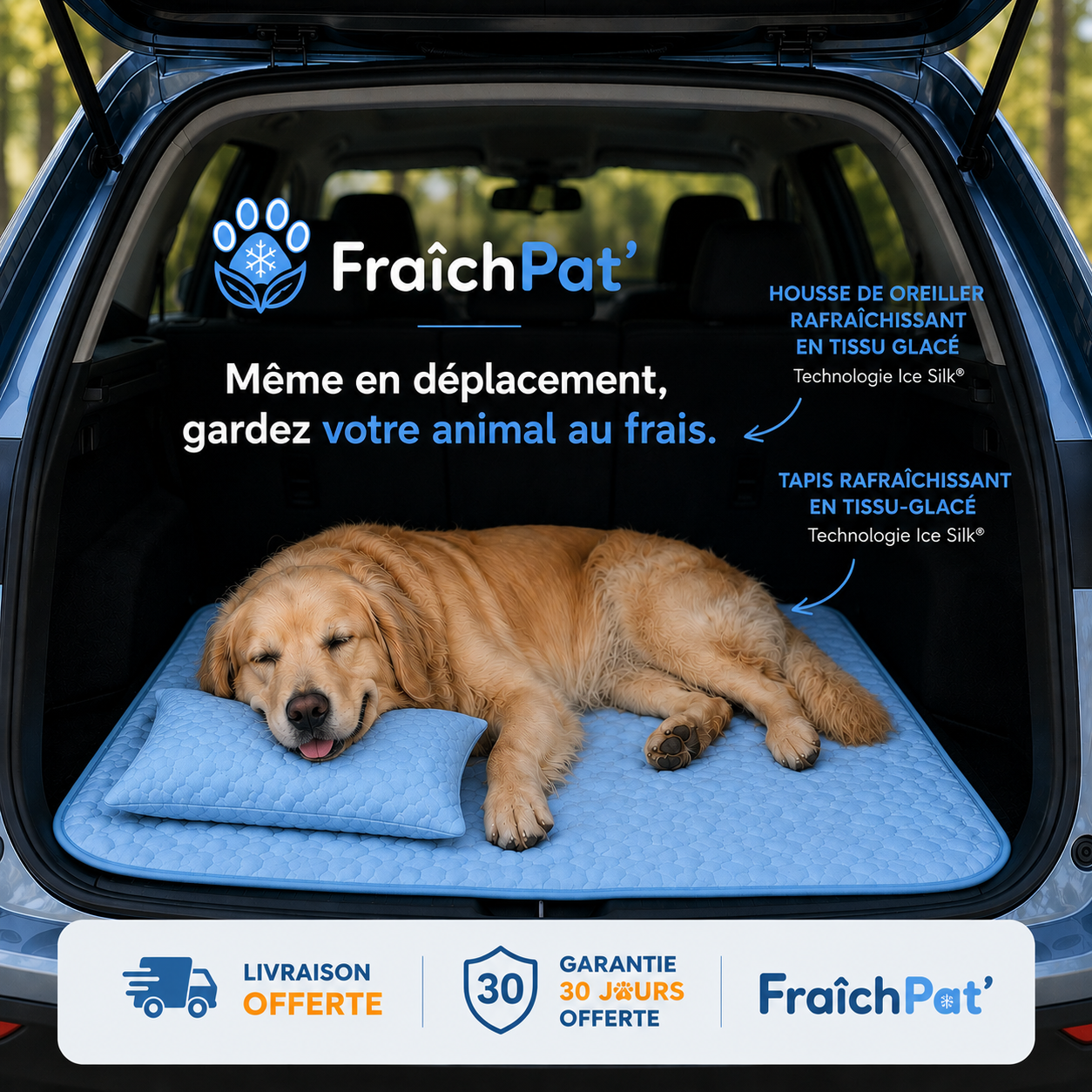 FraîchPat'™️ Confort Total — Tapis Rafraîchissants + Cadeaux Offerts