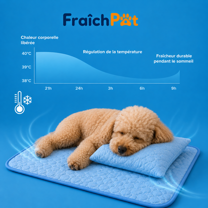FraîchPat'™️ Confort Total — Tapis Rafraîchissants + Cadeaux Offerts