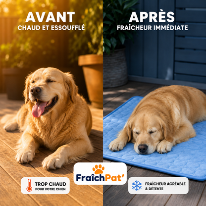 FraîchPat'™️ Confort Total — Tapis Rafraîchissants + Cadeaux Offerts