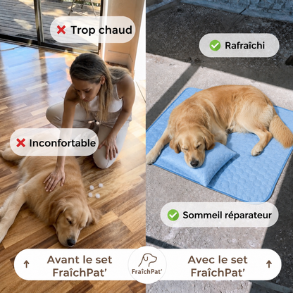 FraîchPat'™️ Confort Total — Tapis Rafraîchissants + Cadeaux Offerts